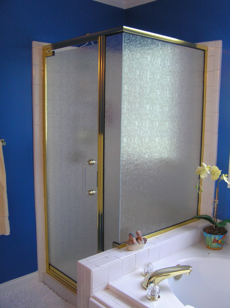 Semi Frameless Shower